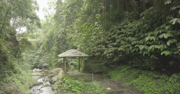 Belle cascade en cascade, souhaitant Bali Indonésie , — Video