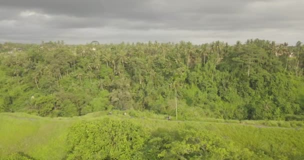 Бали, Индонезия — стоковое видео