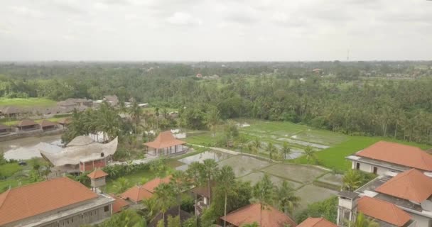 Vista das casas nas casas perto dos campos de arroz em Bali — Vídeo de Stock