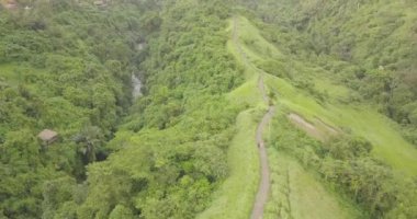 iz sanatçısı Bali, Endonezya