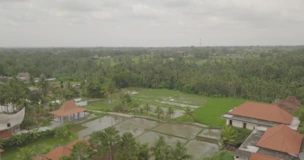 Vista do ubud superior indonésia — Vídeo de Stock