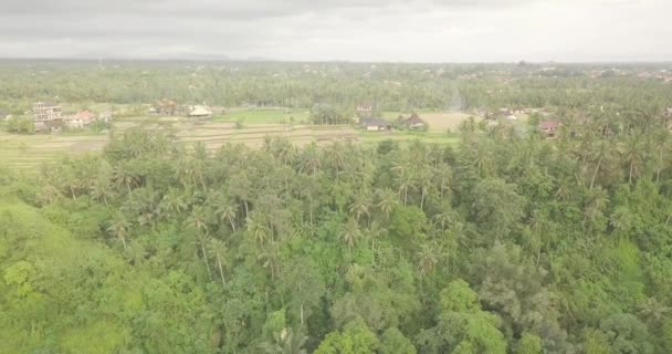 Artista trilha Bali, Indonésia — Vídeo de Stock