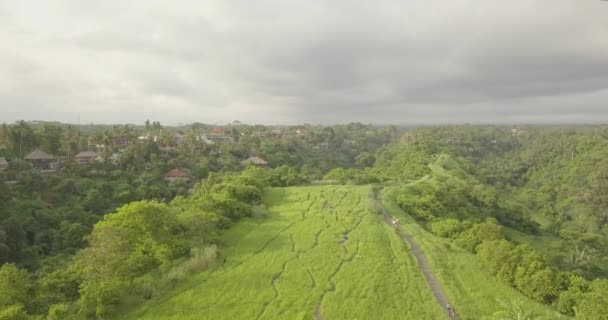 Καλλιτέχνης της διαδρομής Bali, Ινδονησία — Αρχείο Βίντεο