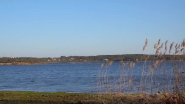 Göldeki sazlıkların güzel manzarası