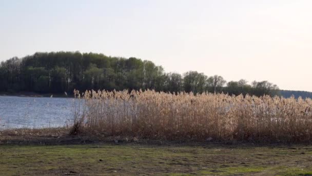 Krásný výhled na otěže na jezeře — Stock video