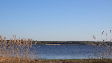 Göldeki sazlıkların güzel manzarası