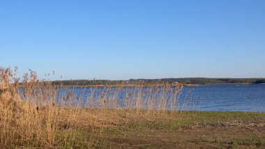 Göldeki sazlıkların güzel manzarası