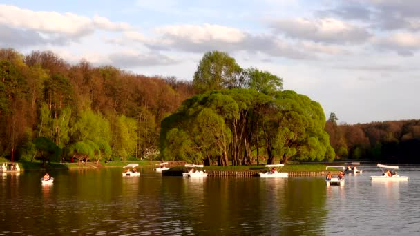 Beautiful view of the lake with boats and catamarans in the park — Stock Video