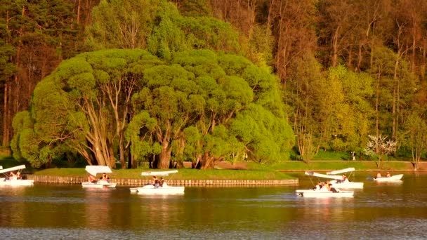 Beautiful view of the lake with boats and catamarans in the park — Stock Video