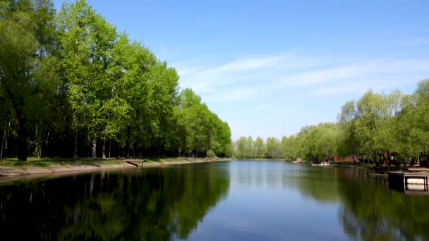 Красивый вид на озеро в парке и деревья — стоковое видео