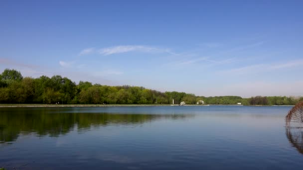 Hermosa vista del lago en el parque y los árboles — Vídeos de Stock