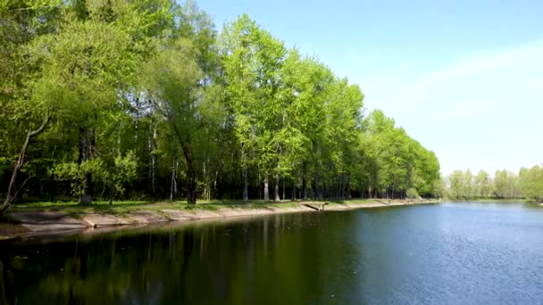 Hermosa vista del lago en el parque y los árboles — Vídeos de Stock