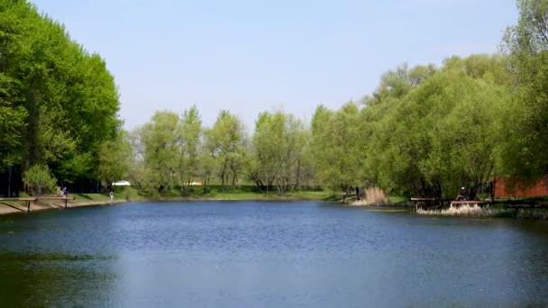 Piękny widok na jezioro w parku i drzew — Wideo stockowe