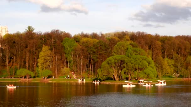 Όμορφη θέα στη λίμνη με βάρκες και καταμαράν στο πάρκο — Αρχείο Βίντεο