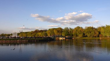 Parkta ve ağaçlarda gölün güzel görünümü