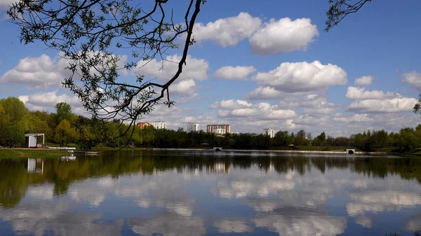 公園と木々の湖の美しい景色 — ストック写真