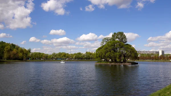 Parkta ve ağaçlarda gölün güzel görünümü