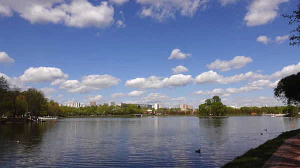 Prachtig uitzicht op het meer in het Park en de bomen — Stockfoto