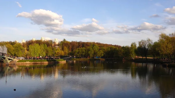 Bela vista do lago no parque e árvores — Fotografia de Stock