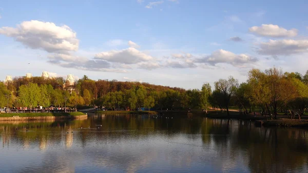 Hermosa vista del lago en el parque y los árboles — Foto de Stock