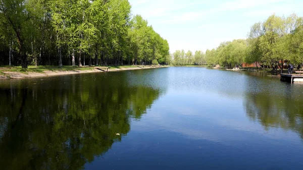 Hermosa vista del lago en el parque y los árboles — Foto de Stock