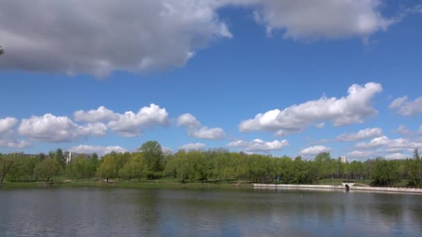 Belle vue sur le lac dans le parc, Europe ,