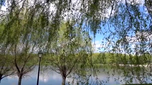 Gyönyörű kilátás a tóra a parkban, Európa, — Stock videók
