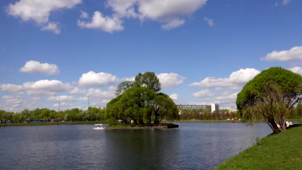 美丽的湖景在公园，欧洲, — 图库视频影像