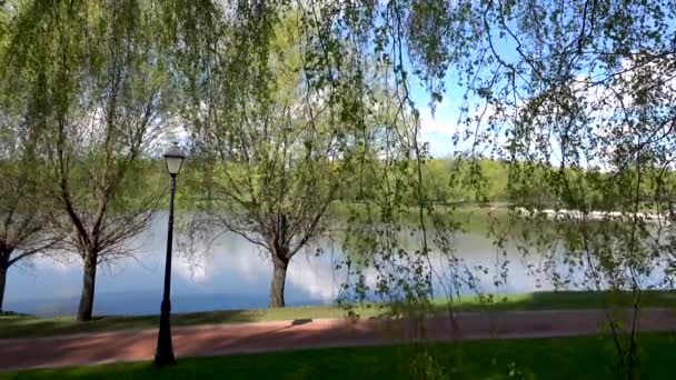 Schöne Aussicht auf den See im Park, Europa, — Stockvideo