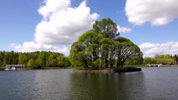 Prachtig uitzicht op het meer in het Park, Europa, — Stockvideo