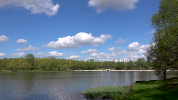 Belle vue sur le lac dans le parc, Europe ,