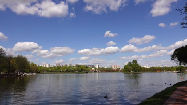 Belle vue sur le lac dans le parc, Europe ,