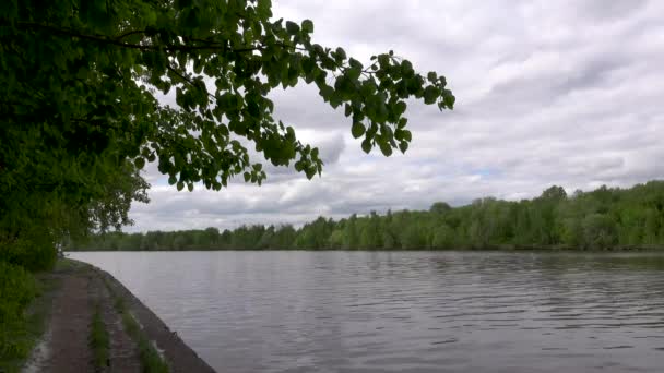 Bela vista do dique da cidade, vídeo 4k — Vídeo de Stock