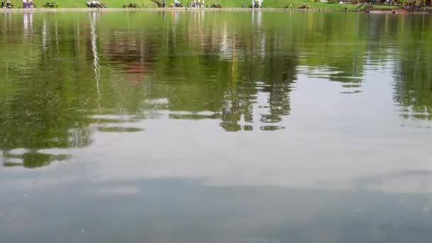 Schöne Aussicht auf den Fischteich mit Pavillons, 4k Video — Stockvideo