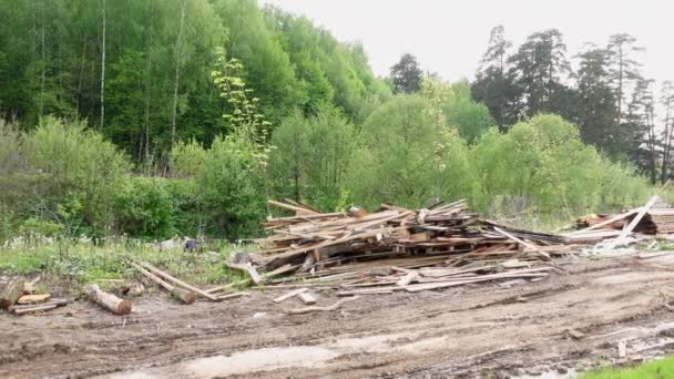 Ao longo da estrada são placas e logs, vídeo 4k — Vídeo de Stock