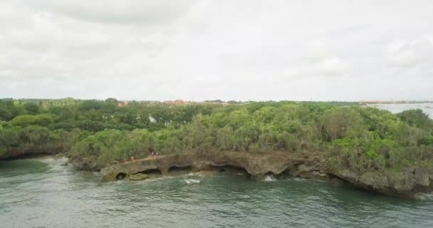 Blick von oben auf die wunderschöne Küste der Karibik — Stockvideo