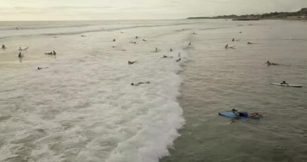 Sörfçü dalgalar binmek, Bali Endonezya — Stok video