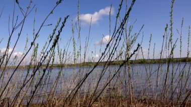 Ağaçların üzerinden nehir güzel görünümü, su bulutlar yansıması