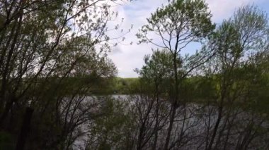 Ağaçların üzerinden nehir güzel görünümü, su bulutlar yansıması