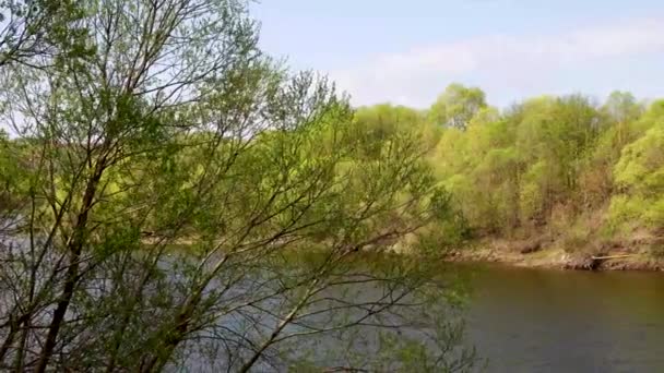 Krásný výhled na řeku skrz stromy, odraz mraků na vodě — Stock video