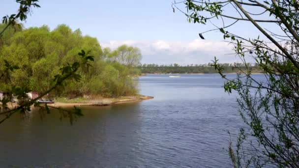 Hermosa vista del río a través de los árboles, reflejo de nubes en el agua — Vídeos de Stock