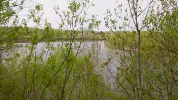 Belle vue sur la rivière à travers les arbres, reflet des nuages sur l'eau — Video