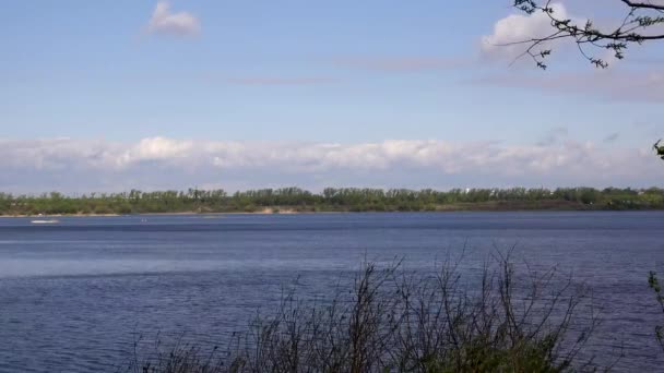 Hermosa vista del río a través de los árboles, reflejo de nubes en el agua — Vídeos de Stock