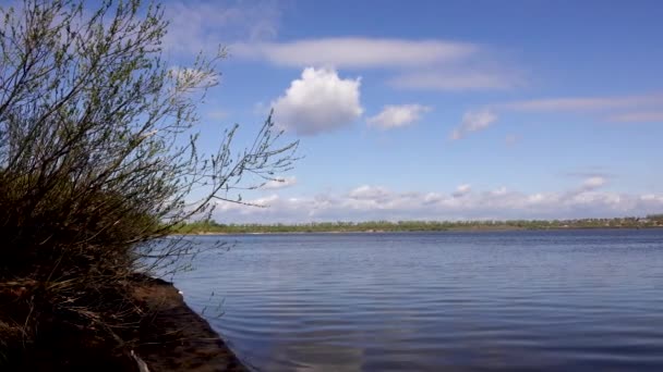 Krásný výhled na řeku skrz stromy, odraz mraků na vodě — Stock video