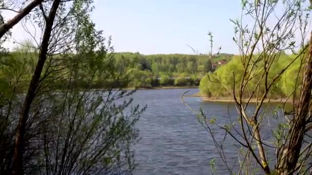 Krásný výhled na řeku skrz stromy, odraz mraků na vodě — Stock video