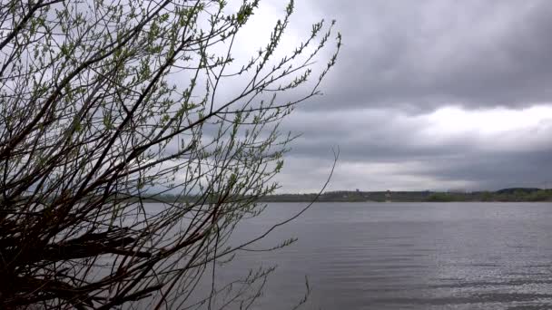 Bella vista sul fiume attraverso gli alberi, riflesso di nuvole sull'acqua — Video Stock