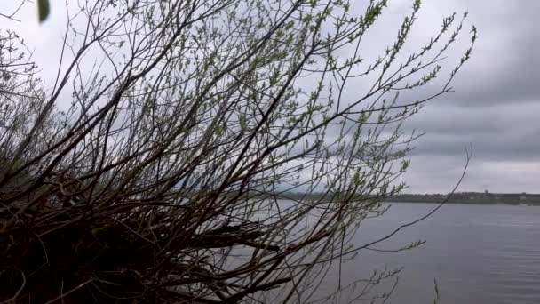 Красивый вид на реку через деревья, отражение облаков на воде — стоковое видео