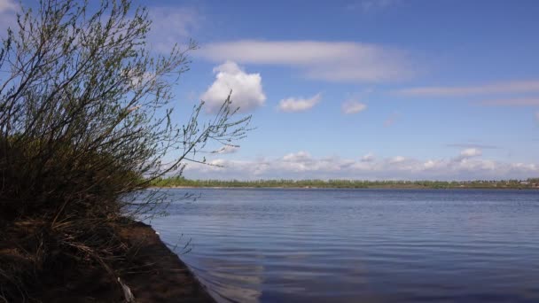 Krásný výhled na řeku skrz stromy, odraz mraků na vodě — Stock video