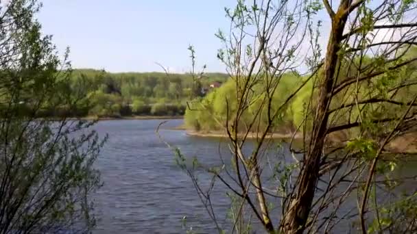 Beautiful view of the river through the trees, reflection of clouds on the water — Stock Video