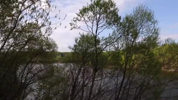 Belle vue sur la rivière à travers les arbres, reflet des nuages sur l'eau — Video